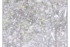 _JMD2749