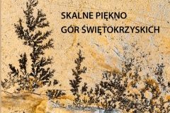 okladka