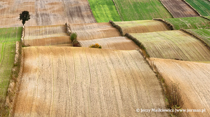 Czy to już jesień?