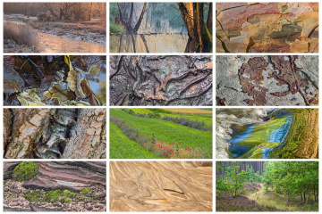 Ta dwunastka z 2025 roku