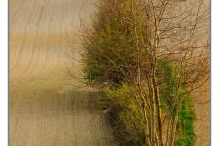 _JMB0769