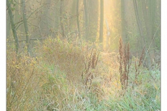 _JMC6095