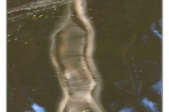 _JMB7183