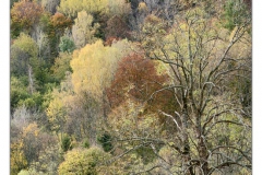 DSC9190