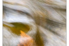 _DSC2595s