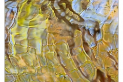 _DSC9121s