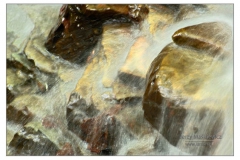 _DSC0661s