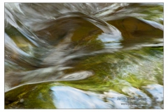 _DSC2817s