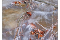 _DSC6962s