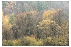 _BNI7440