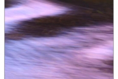 _BNI4395
