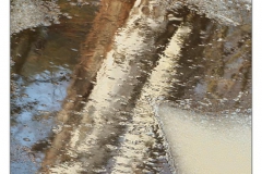 DSC4848s