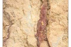 DSC1610