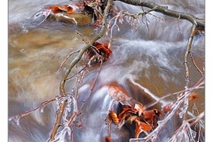 _DSC6962s