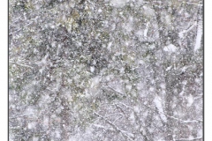 JMD2749