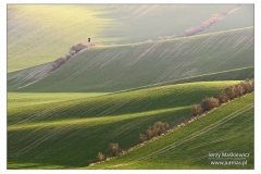 _MOR8655