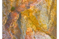 _GSW2353s