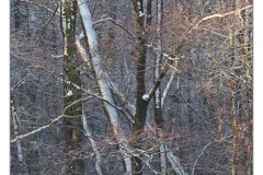 _KRE8687
