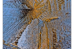 WYT8555s