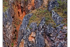 Zelejowa