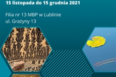 plak_zpejz
